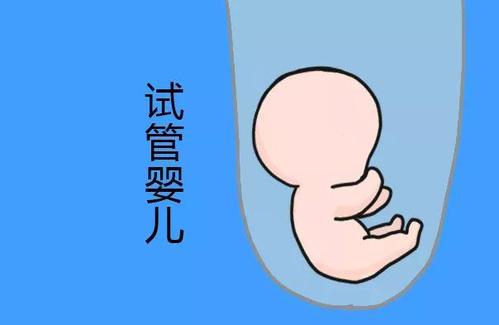 供卵代怀公司